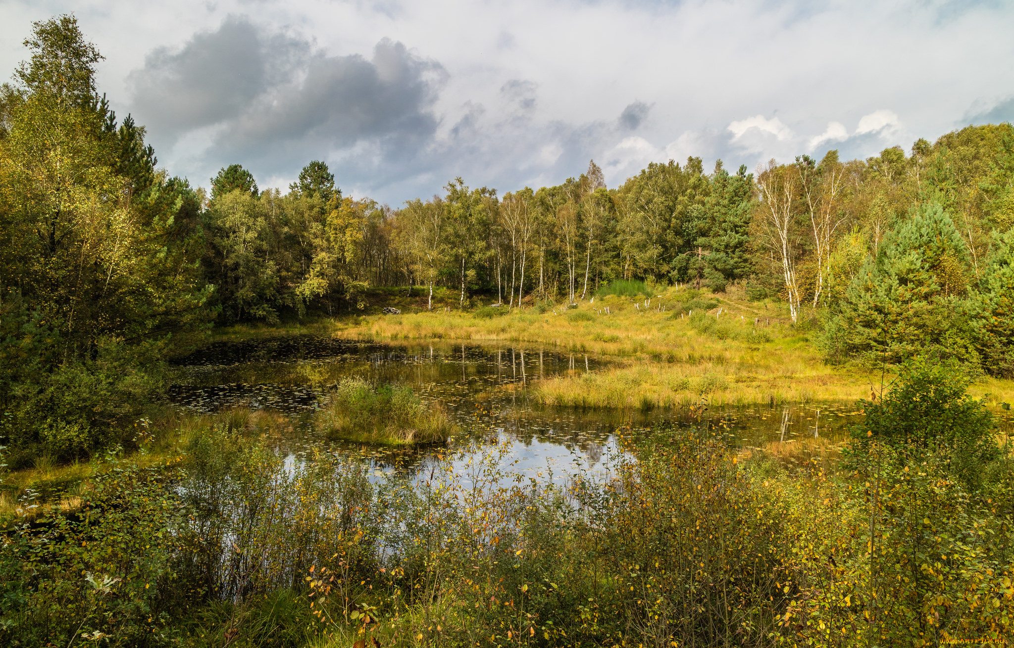 природа, реки, озера, простор