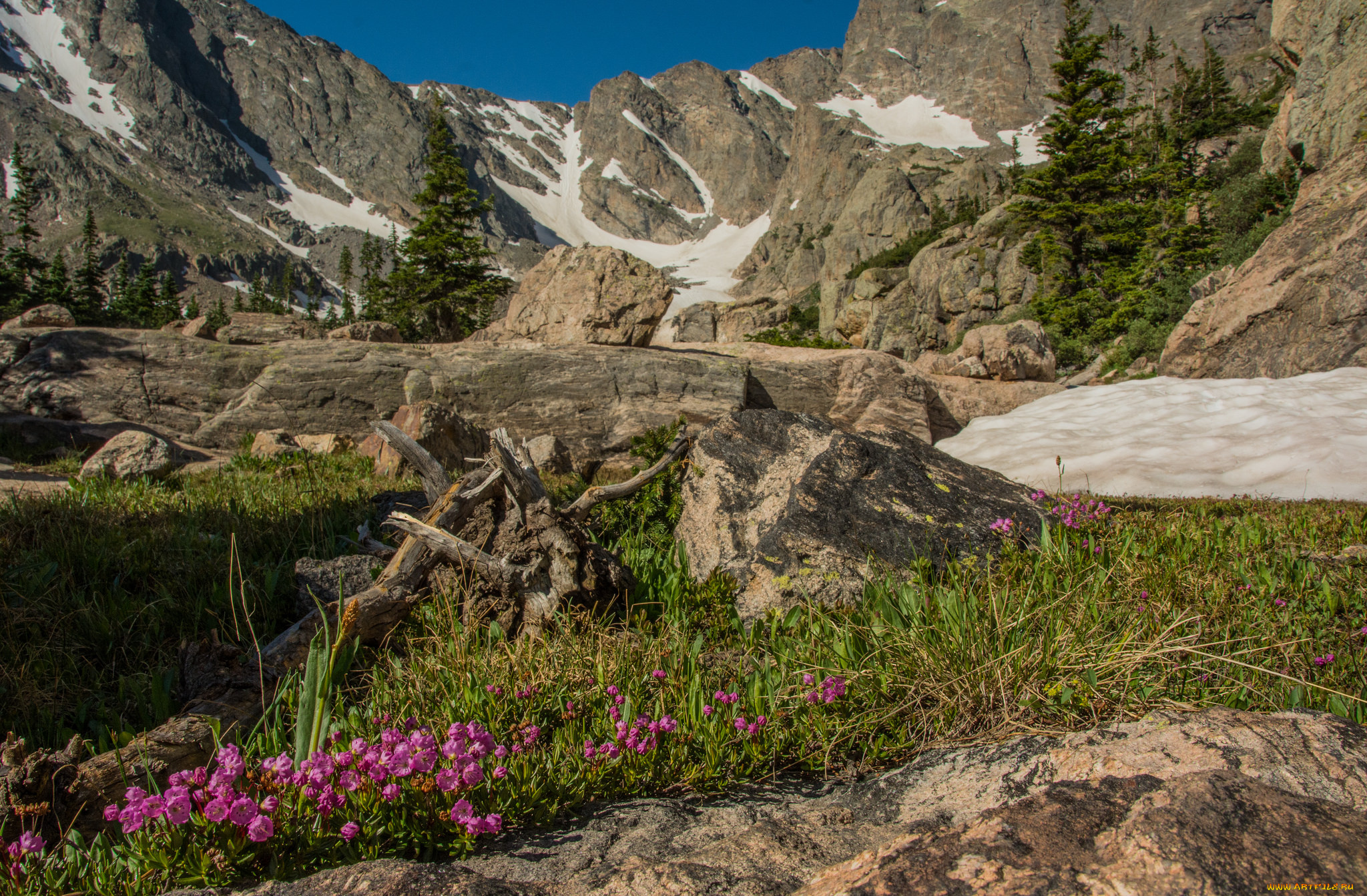 природа, горы, простор