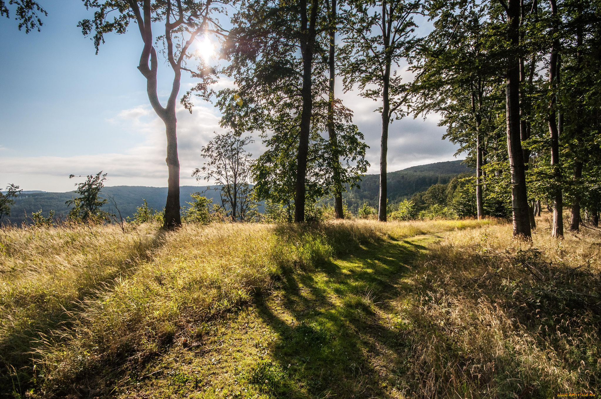 природа, пейзажи, простор