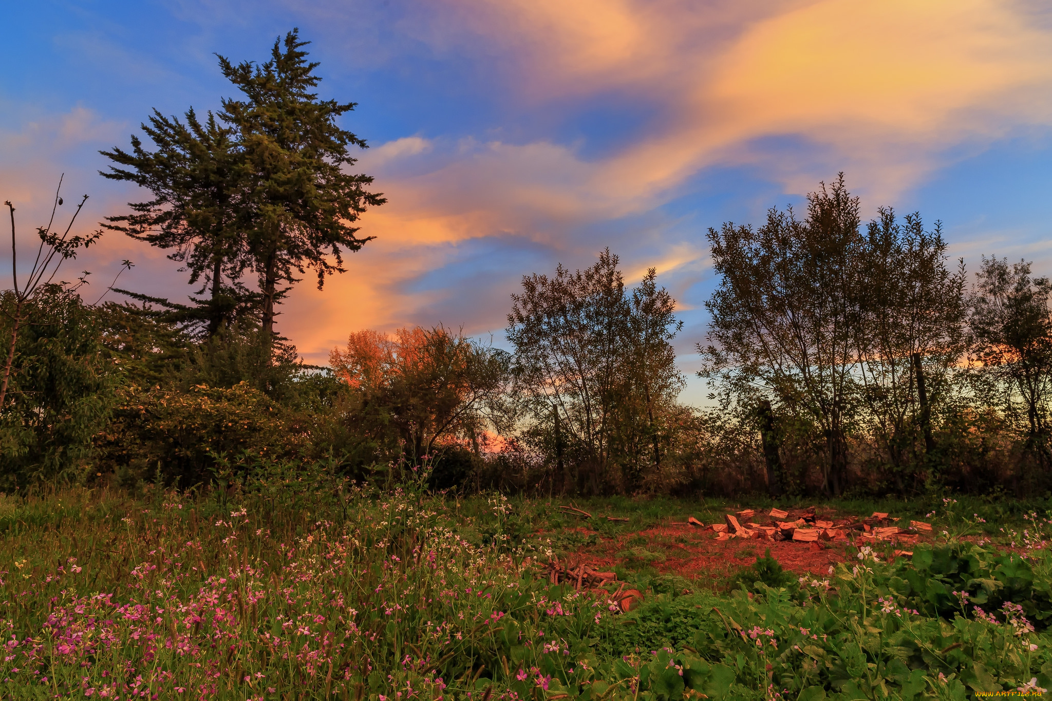 природа, пейзажи, простор