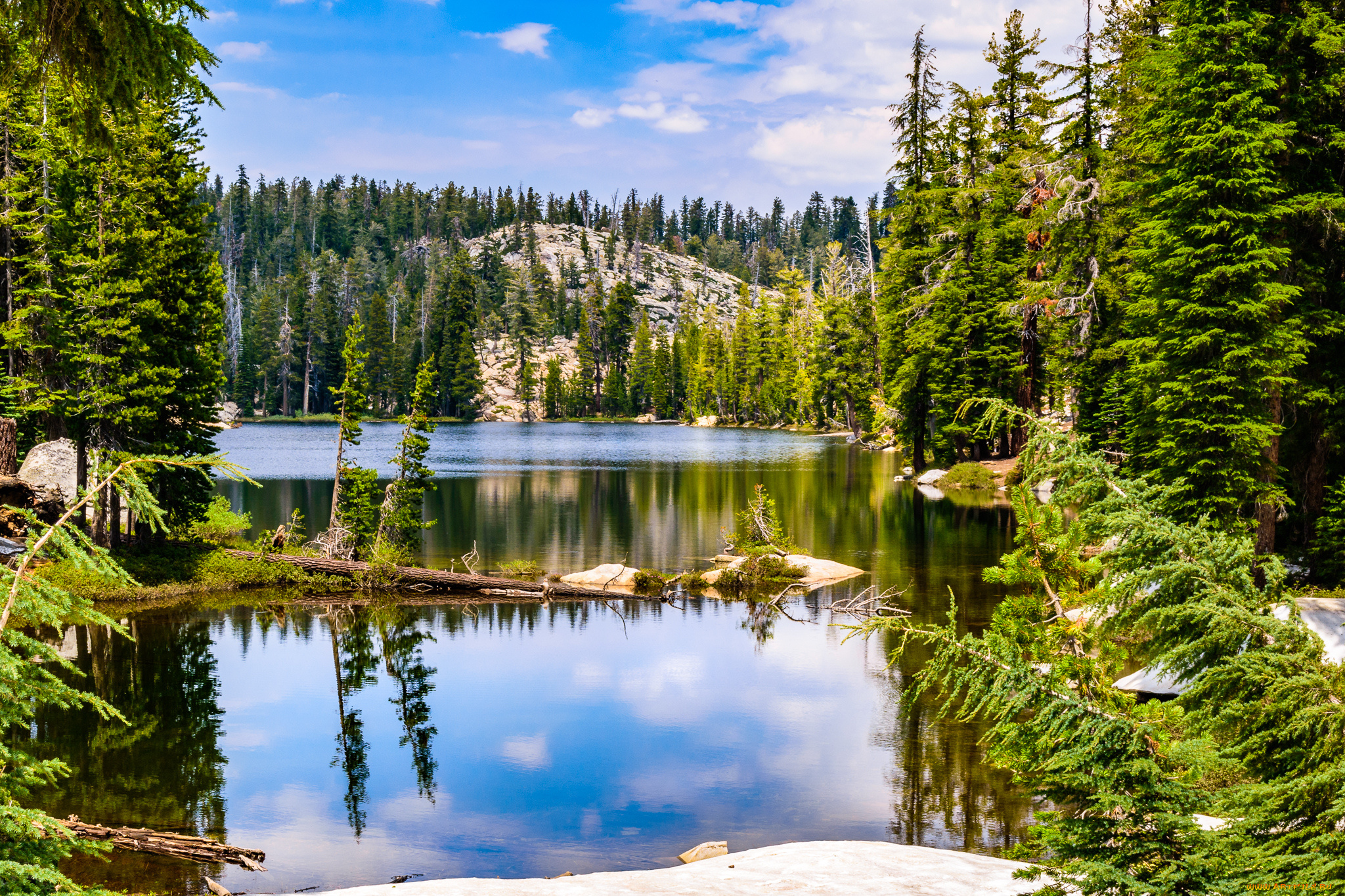 природа, реки, озера, простор