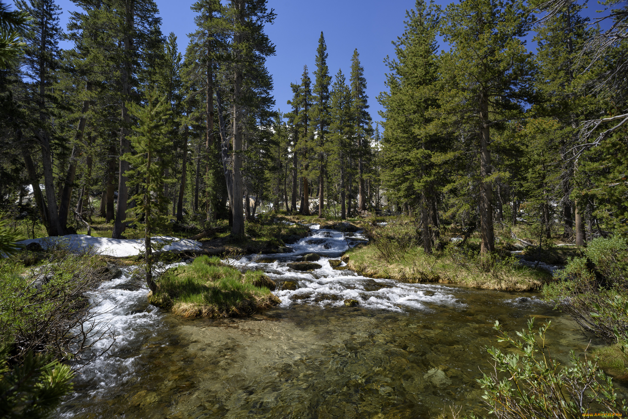 природа, реки, озера, простор