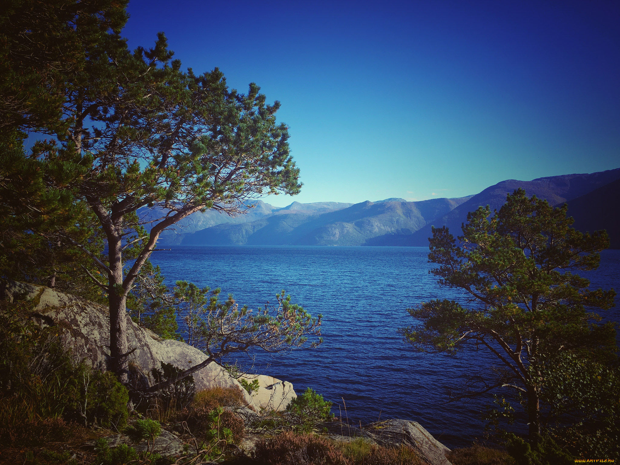 природа, побережье, простор