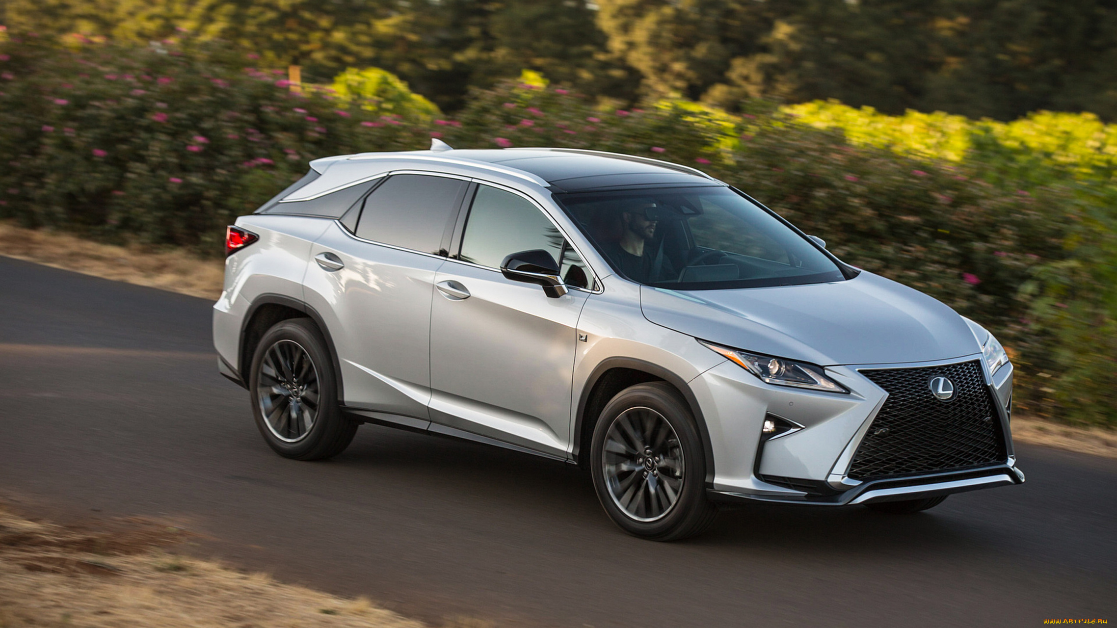 lexus, rx, 350, f-sport, 2018, автомобили, lexus, 2018, серебряный, f-sport, 350, металлик, rx