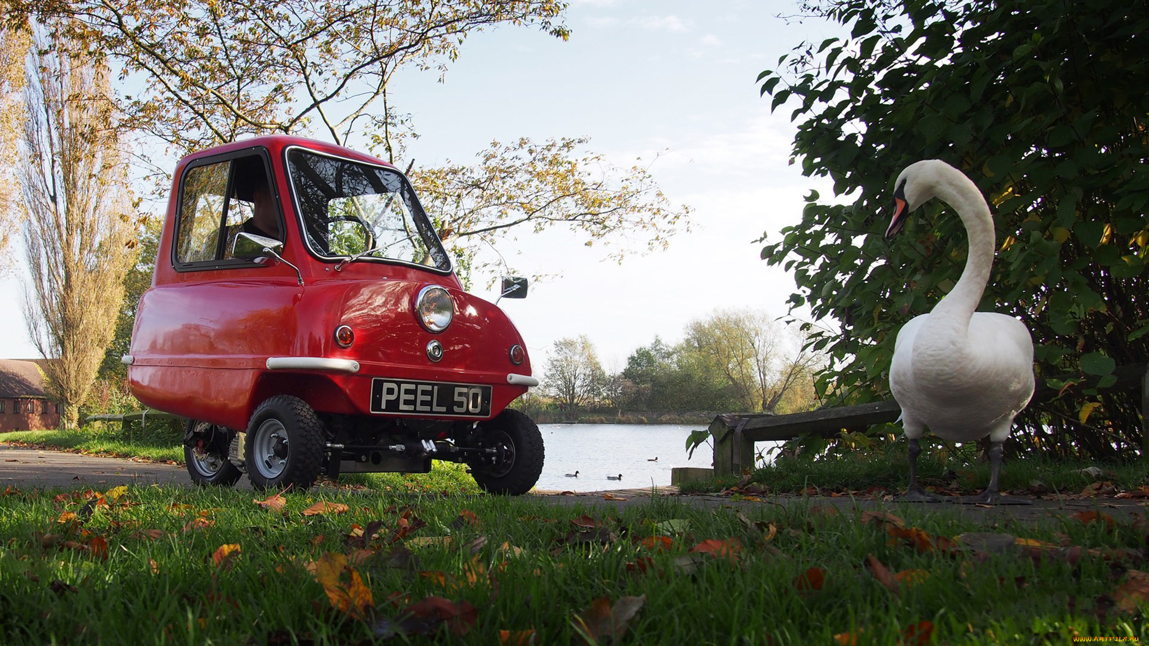peel, p50, 1964, автомобили, -unsort, красный, 1964, p50, peel