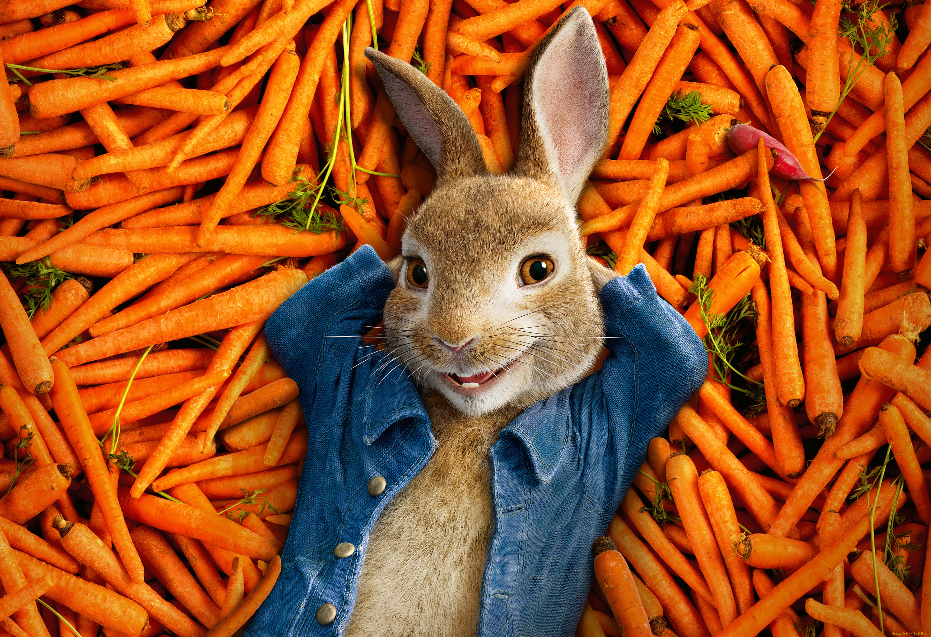 кино, фильмы, peter, rabbit, peter, rabbit