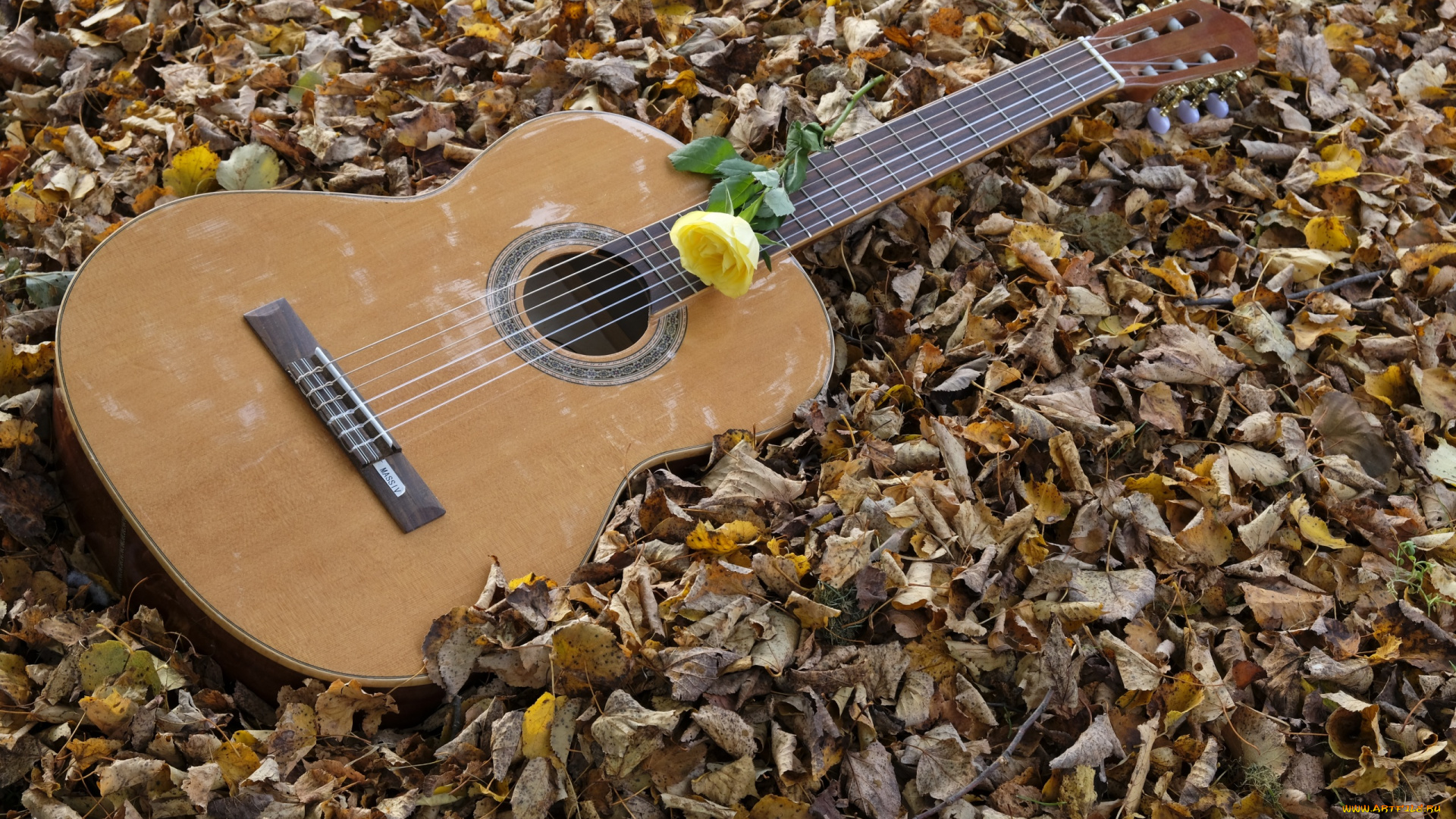 музыка, -музыкальные, инструменты, гитара