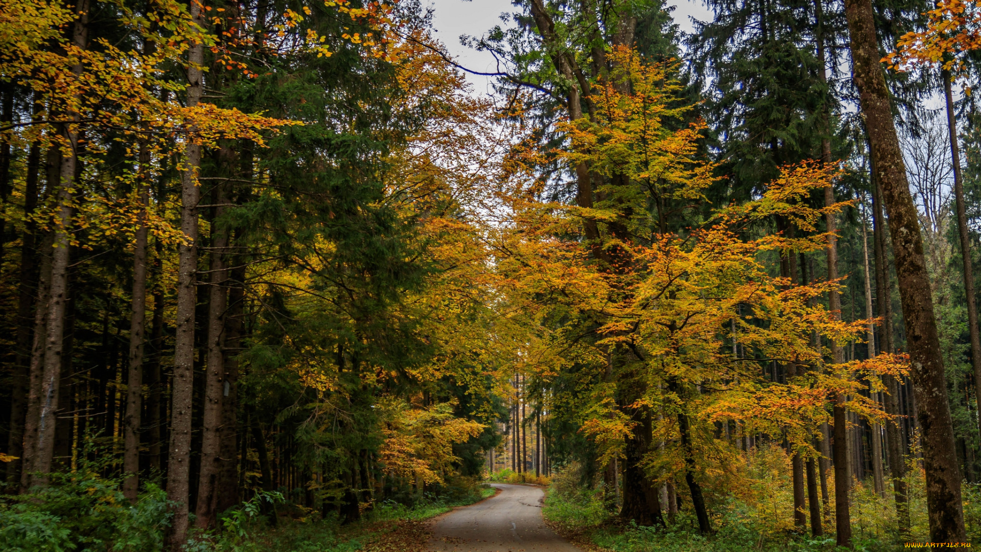 природа, дороги, простор