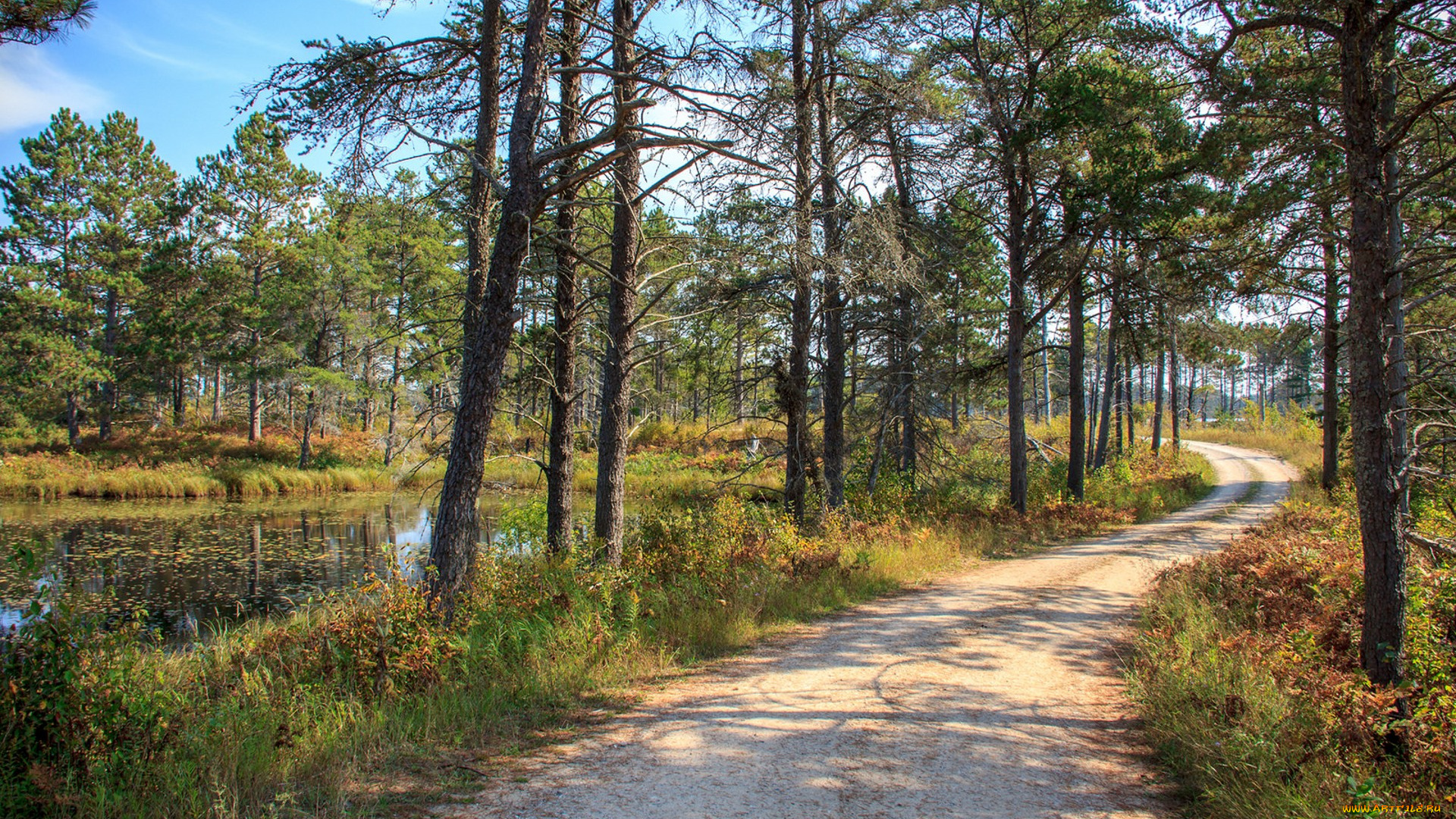 природа, дороги, простор