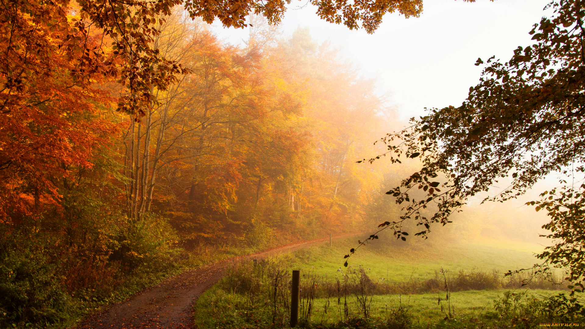 природа, дороги, простор