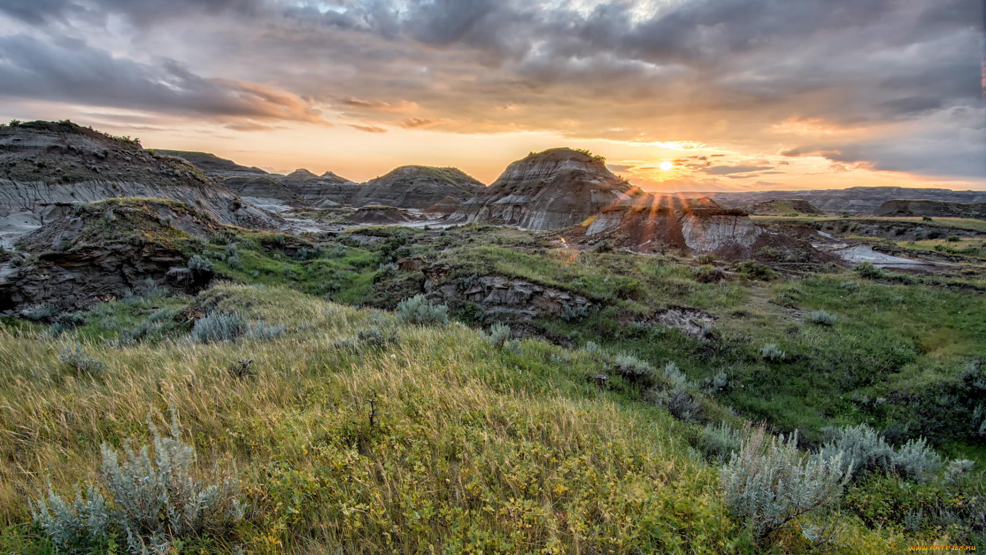 природа, пейзажи, простор