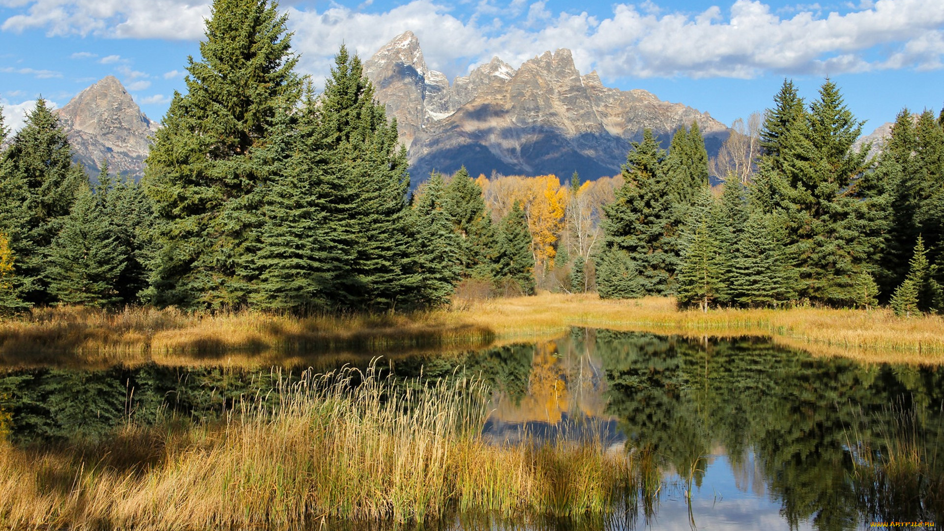 природа, реки, озера, простор