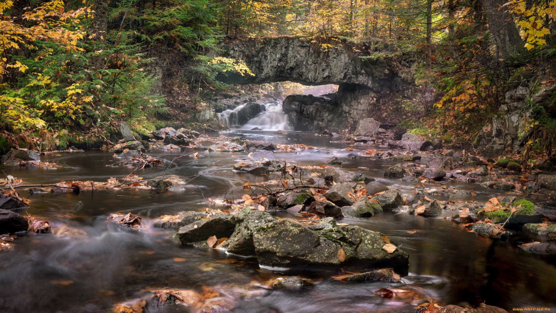 природа, реки, озера, простор