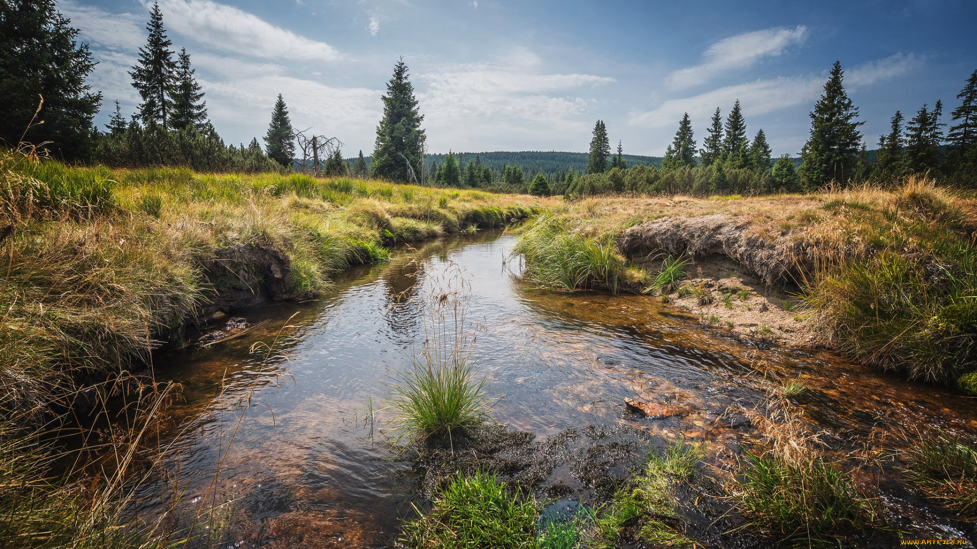 природа, реки, озера, простор