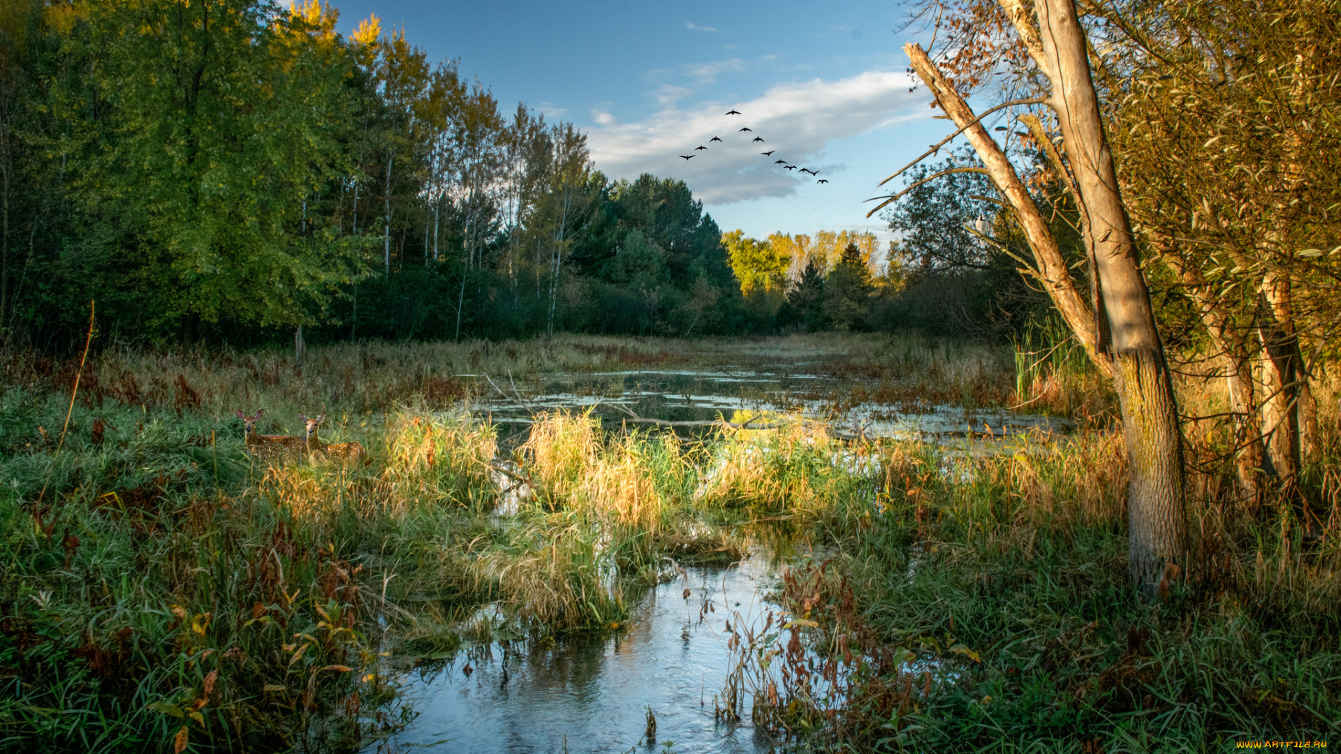 природа, реки, озера, простор
