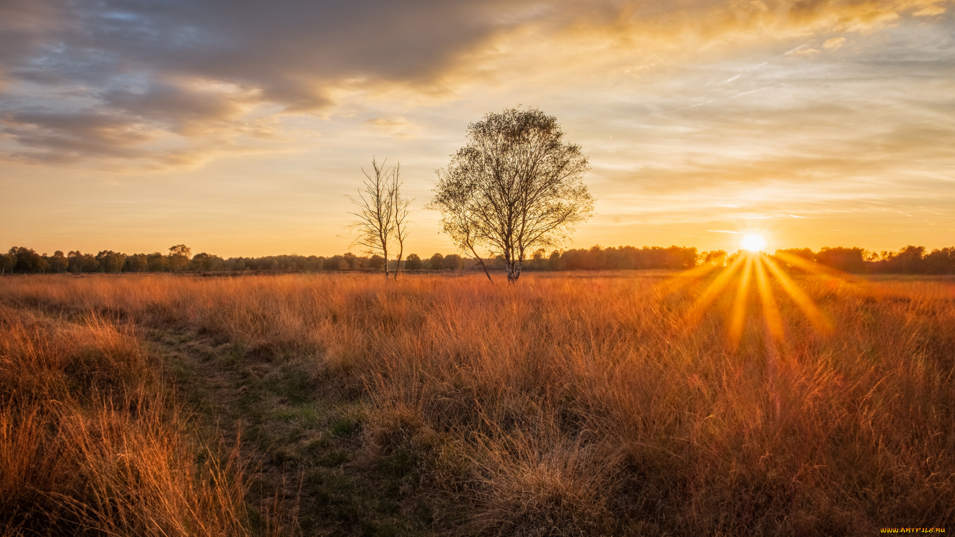 природа, восходы, закаты, простор