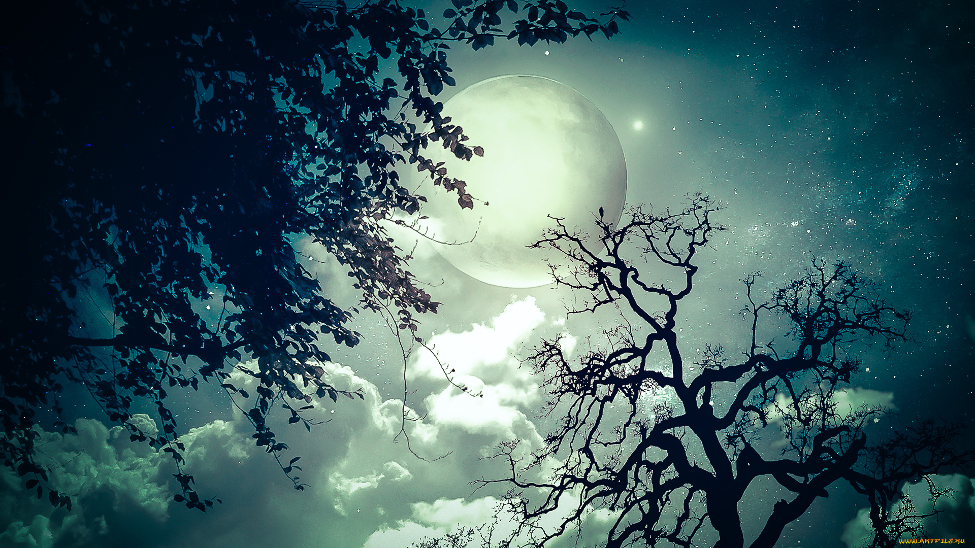 разное, компьютерный, дизайн, тучи, луна, звезды, небо, деревья