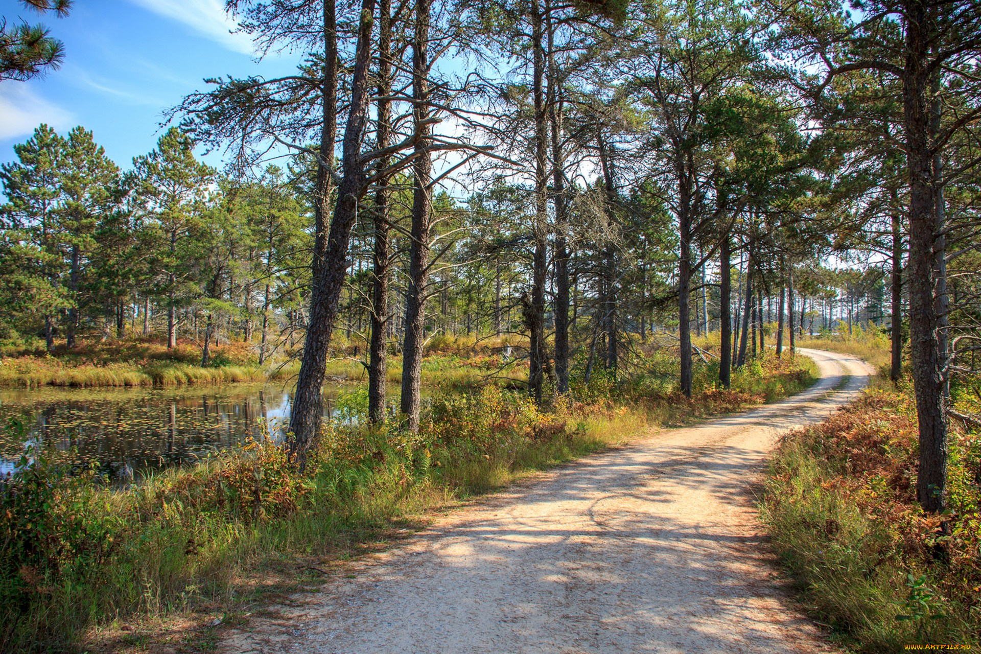 природа, дороги, простор