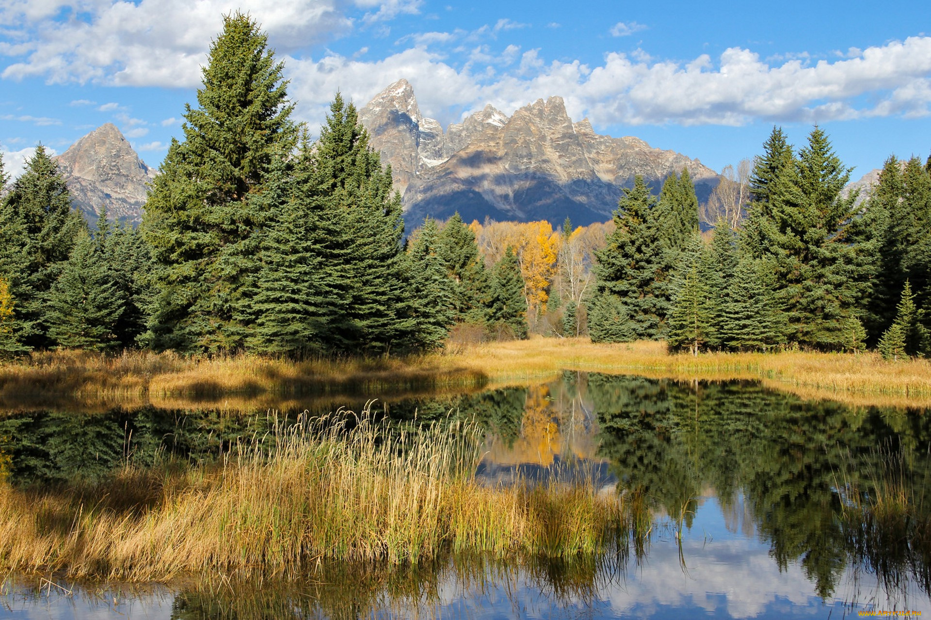 природа, реки, озера, простор