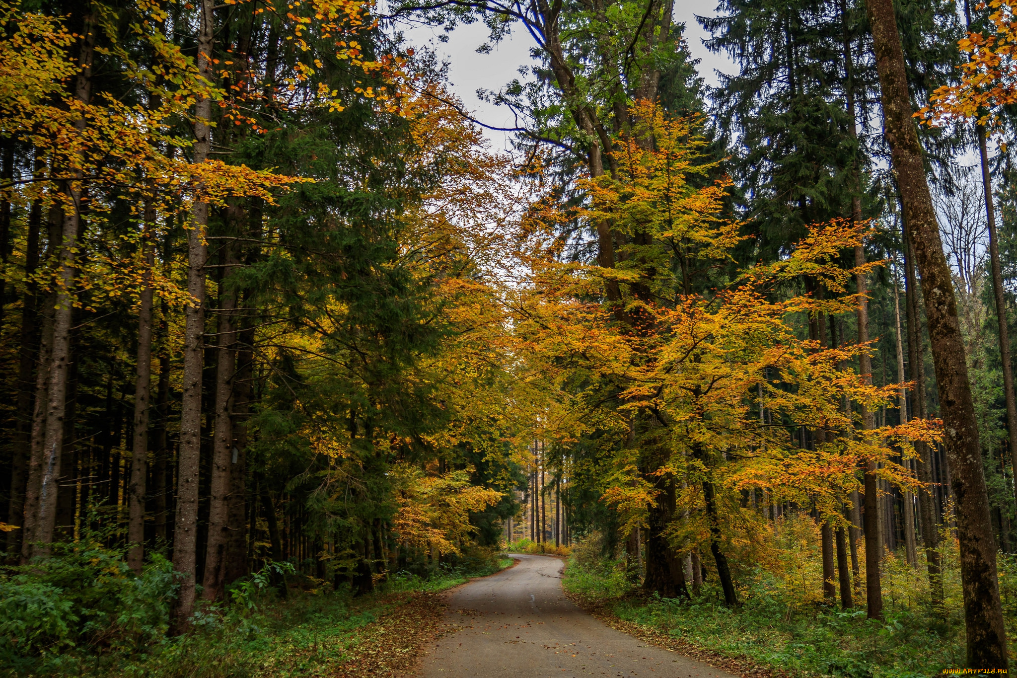 природа, дороги, простор