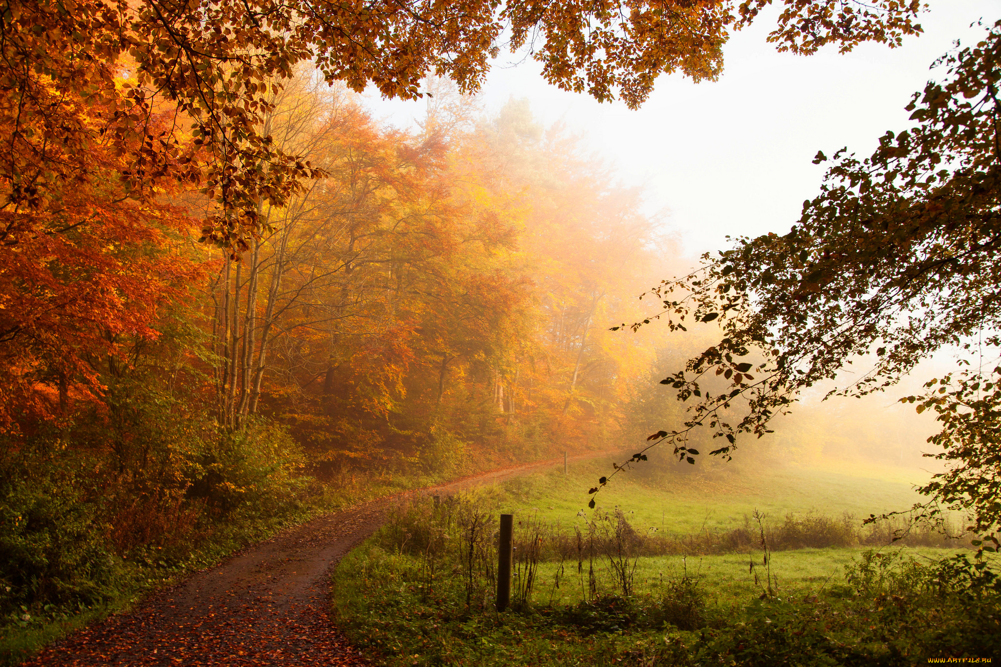 природа, дороги, простор