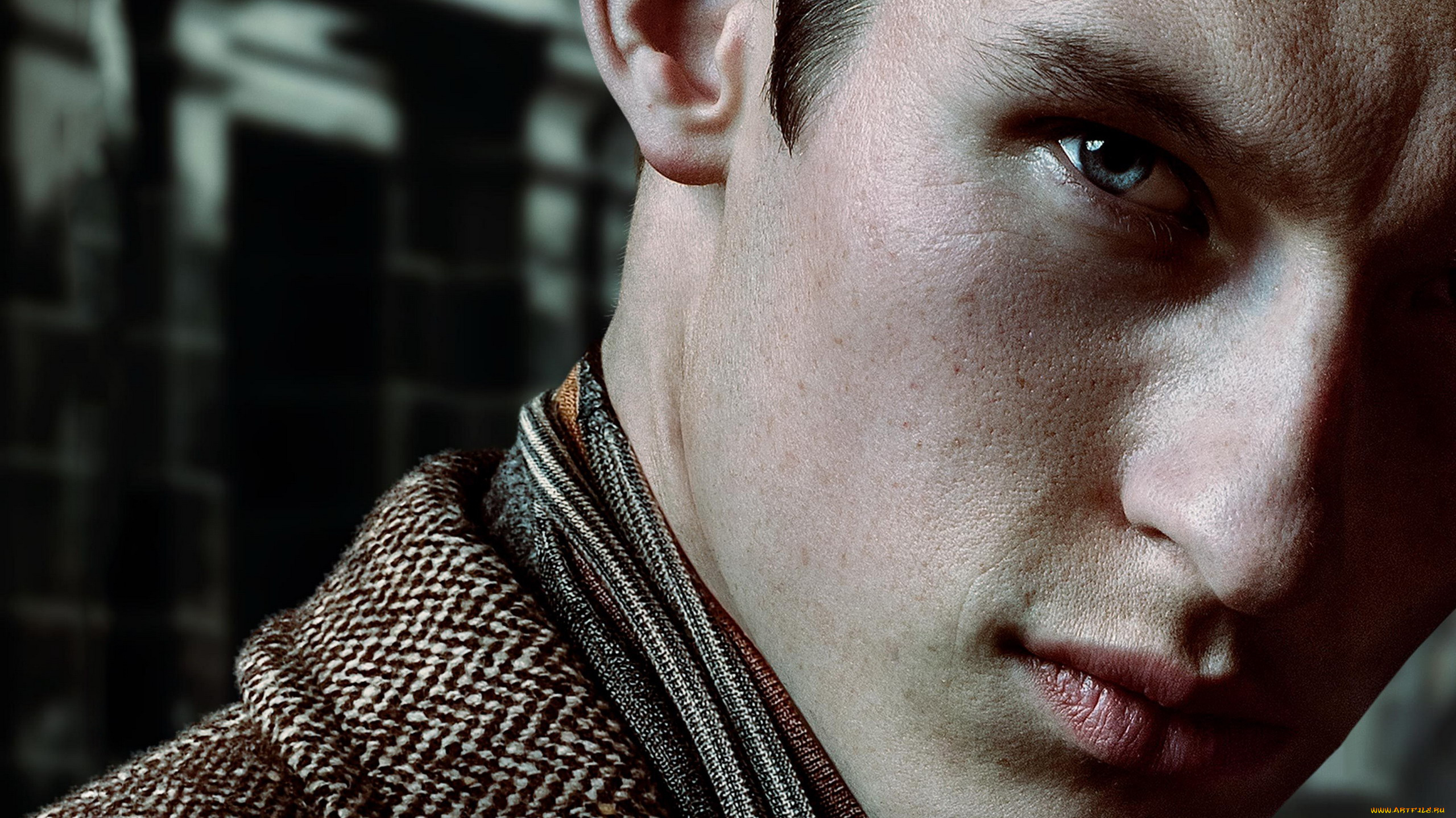 кино, фильмы, fantastic, beasts, , the, crimes, of, grindelwald, theseus, scamander, callum, turner