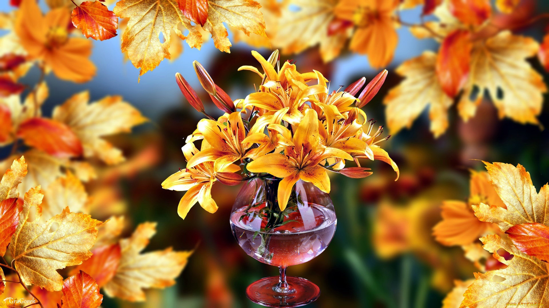 цветы, лилии, , лилейники, листья, оранжевый, осень