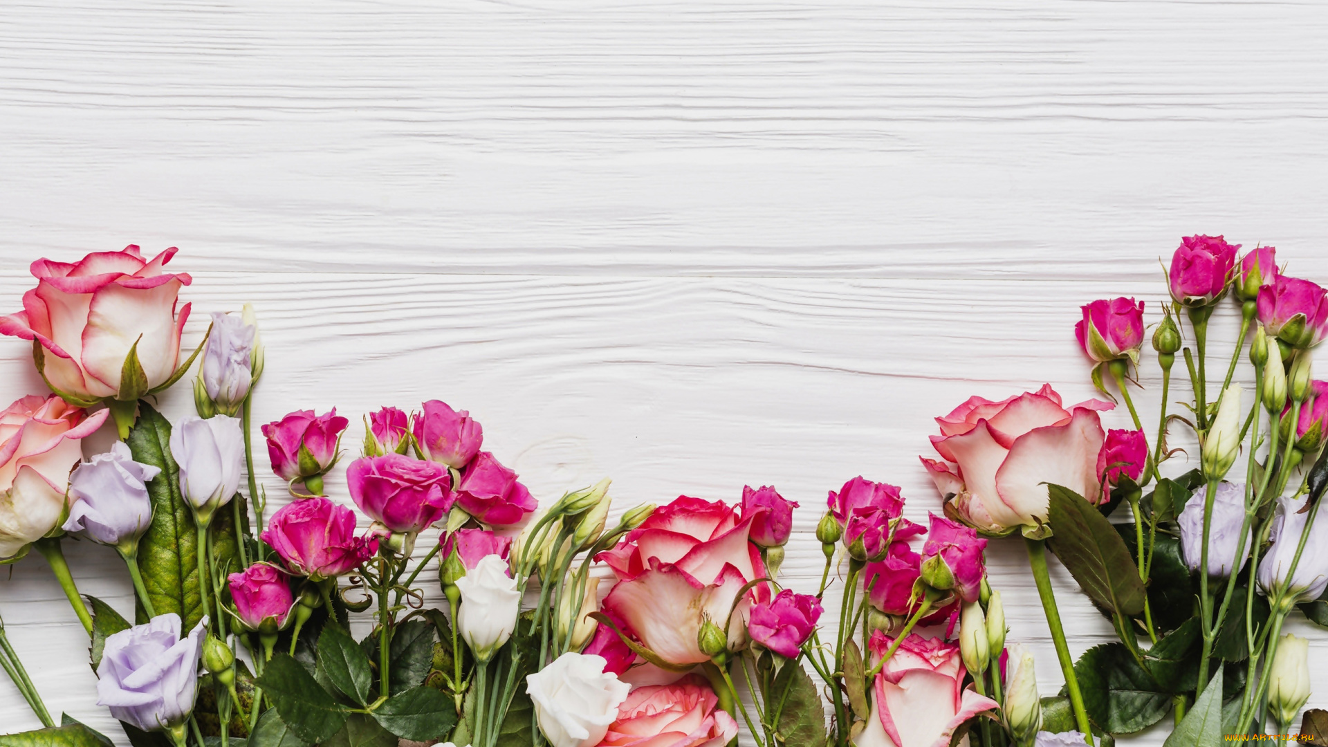 цветы, разные, вместе, розы, эустома