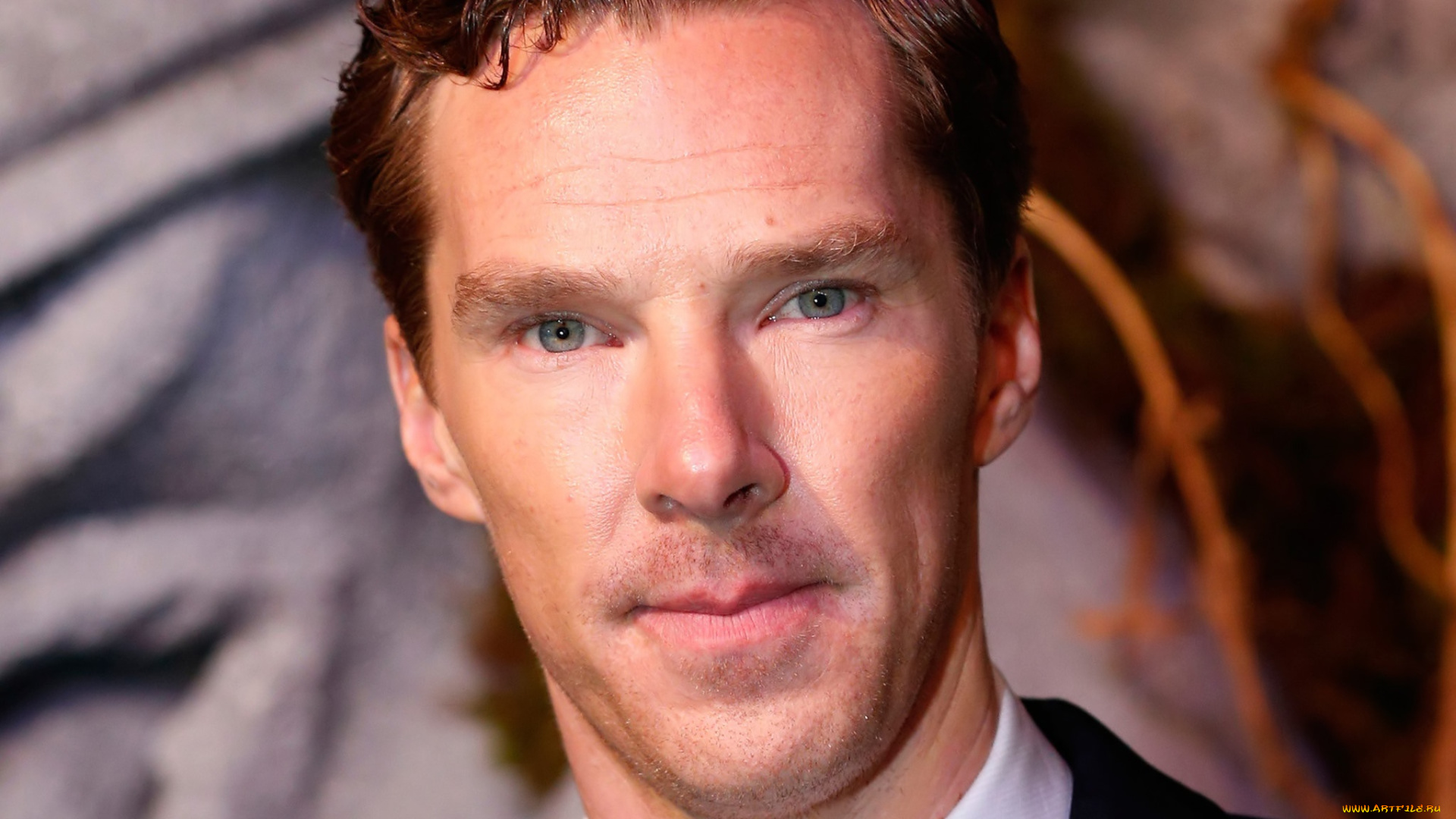 мужчины, benedict, cumberbatch, benedict, cumberbatch