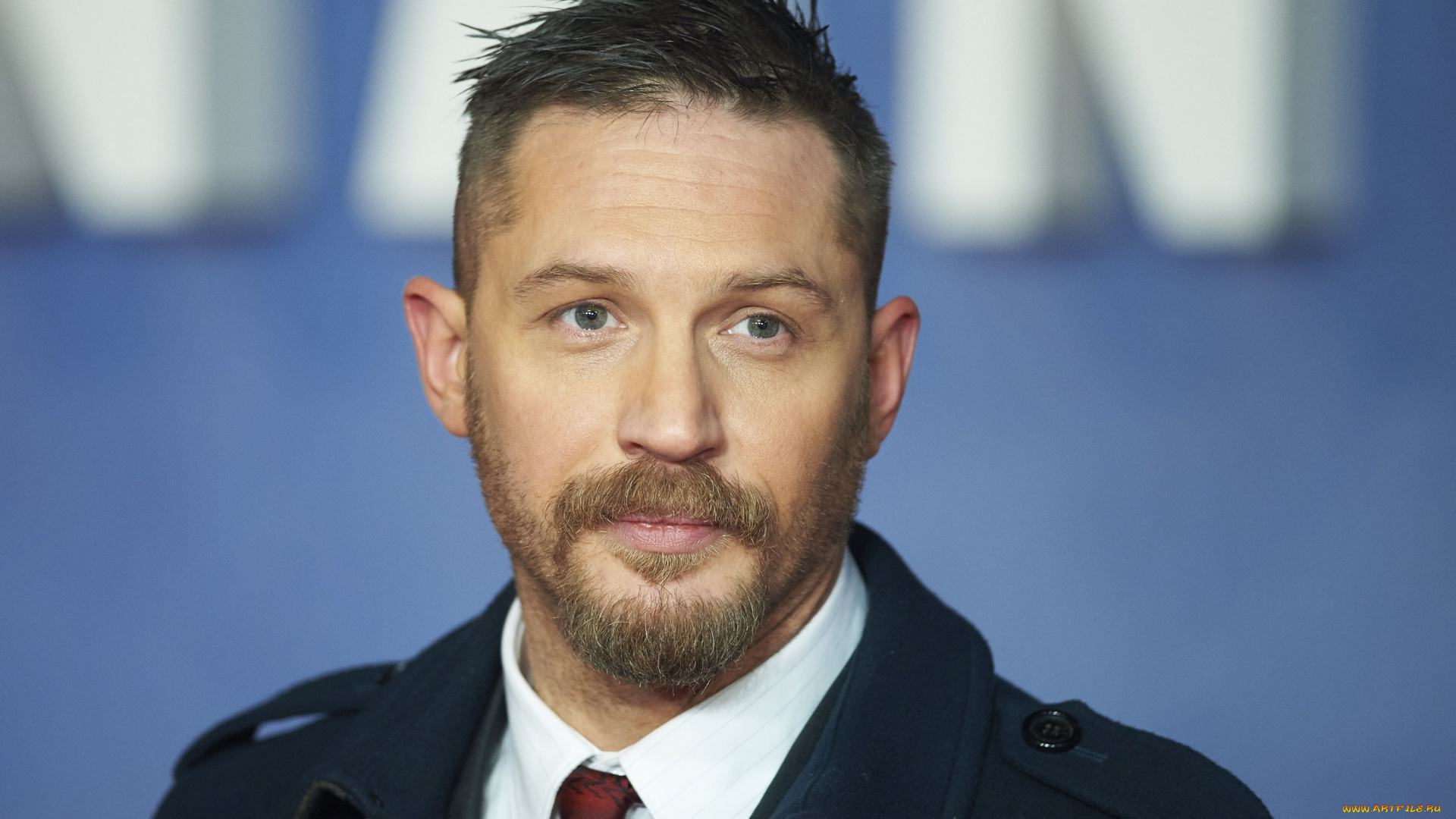 мужчины, tom, hardy, том, харди