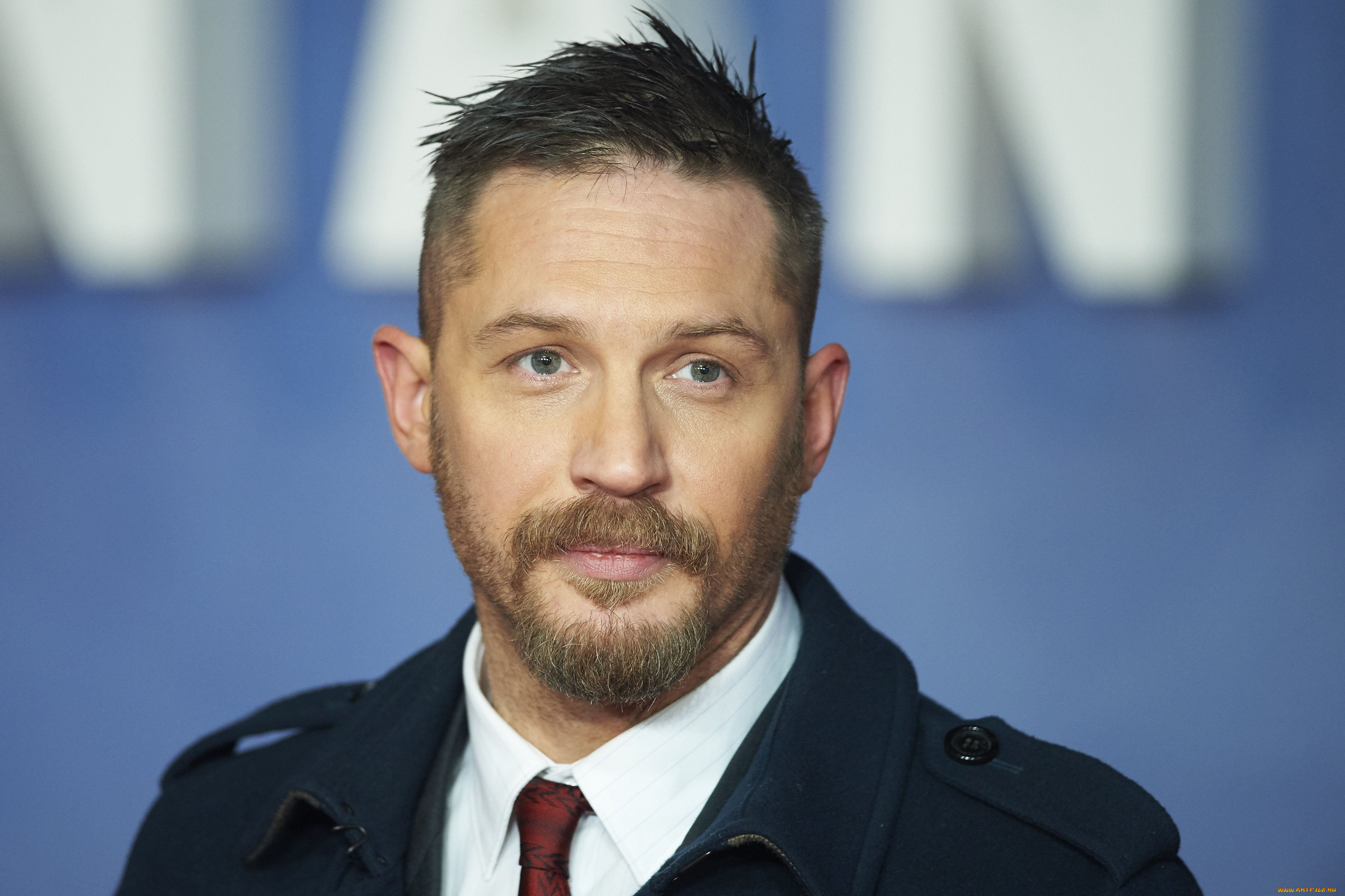 мужчины, tom, hardy, том, харди