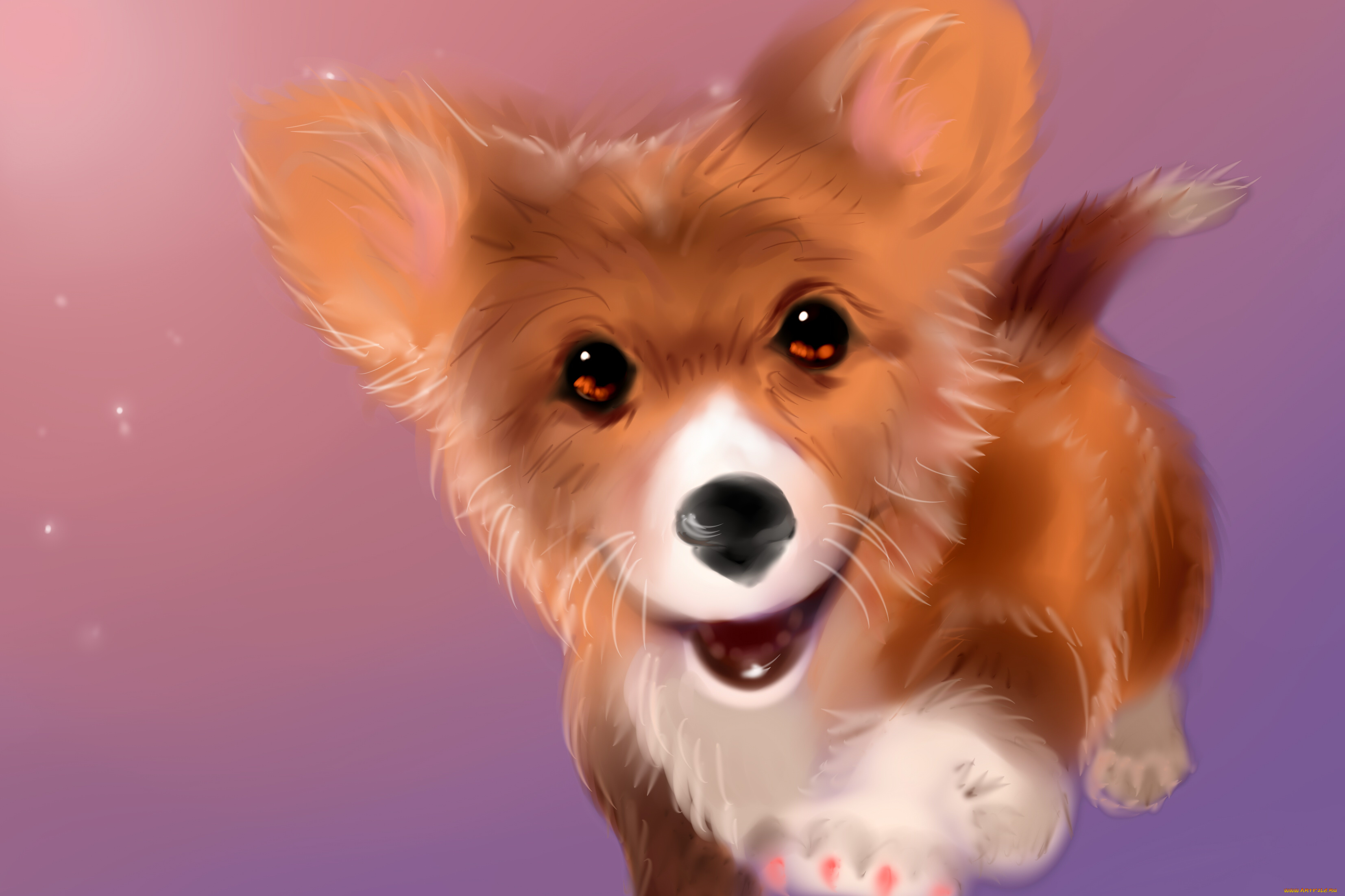 рисованное, животные, , собаки, взгляд, фон, собака