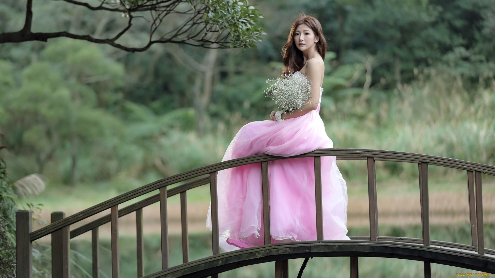 девушки, -, азиатки, мостик, розовое, платье