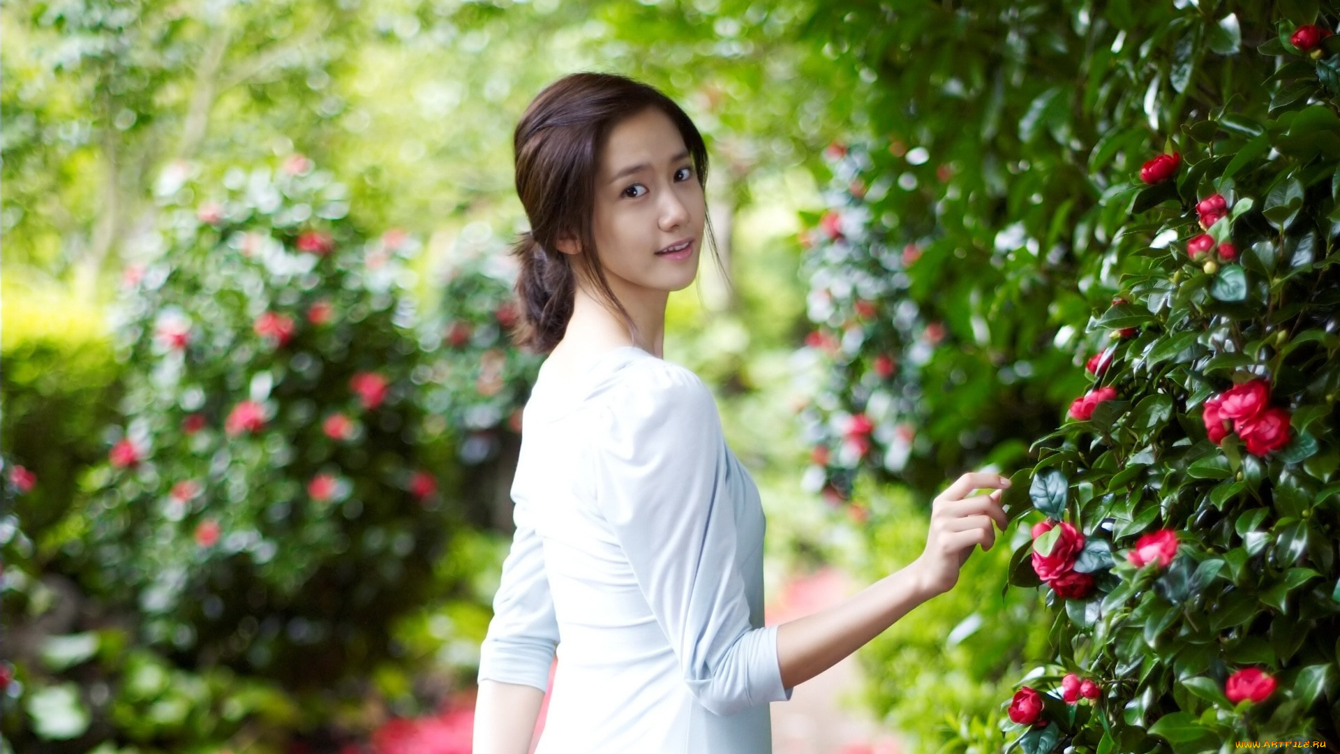 девушки, -, азиатки, парк, азиатка, магнолии