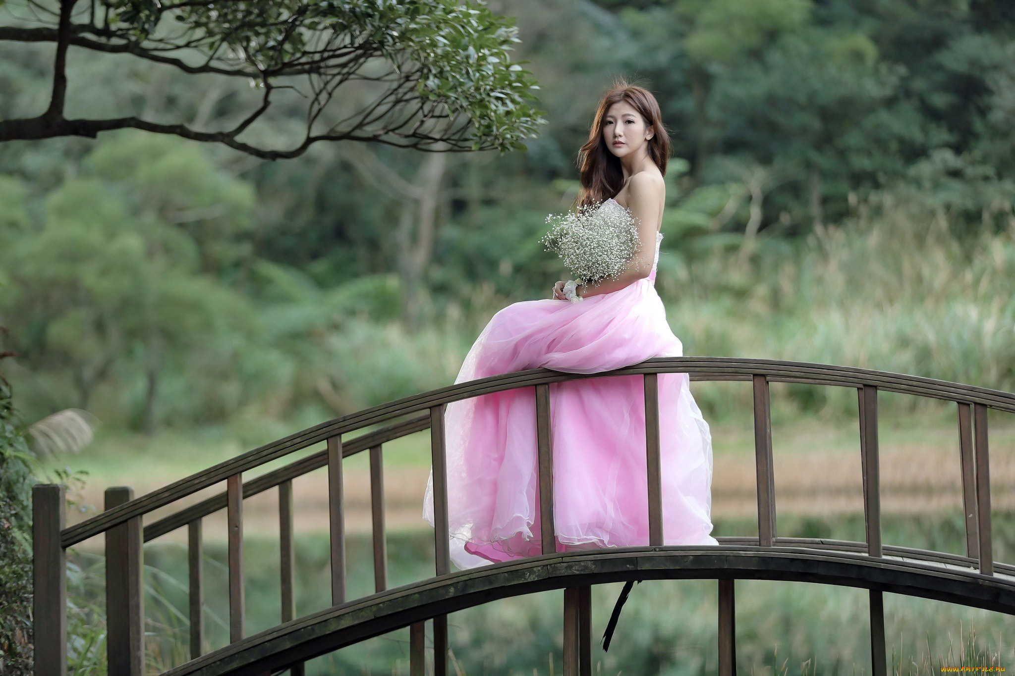 девушки, -, азиатки, мостик, розовое, платье
