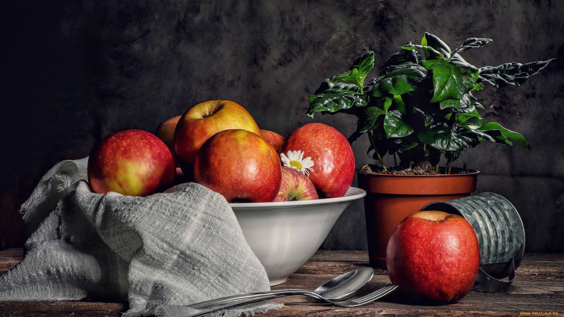 еда, яблоки, миска, вазон