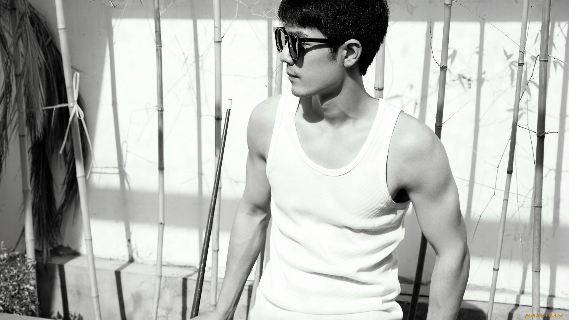 мужчины, xiao, zhan, очки, майка, кий