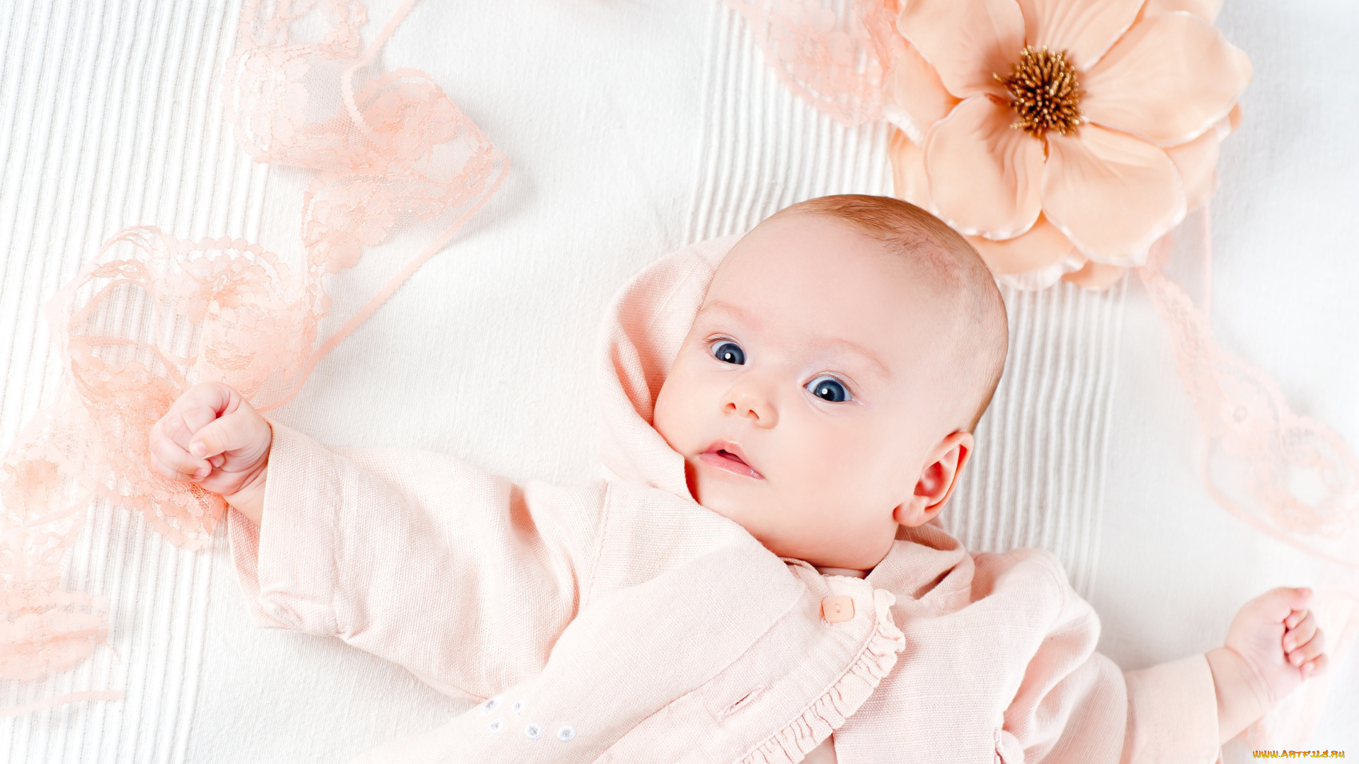 разное, дети, младенец, цветок