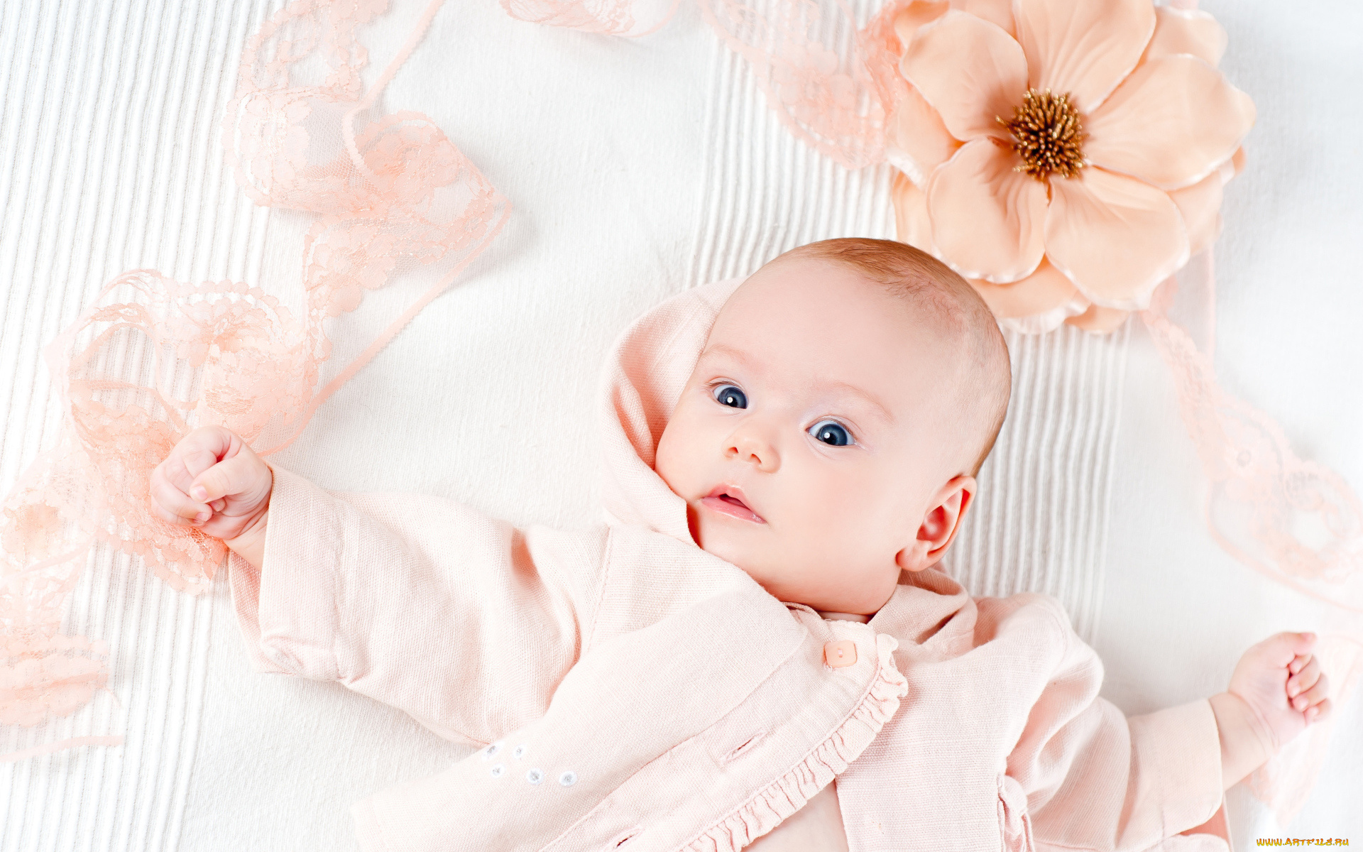 разное, дети, младенец, цветок