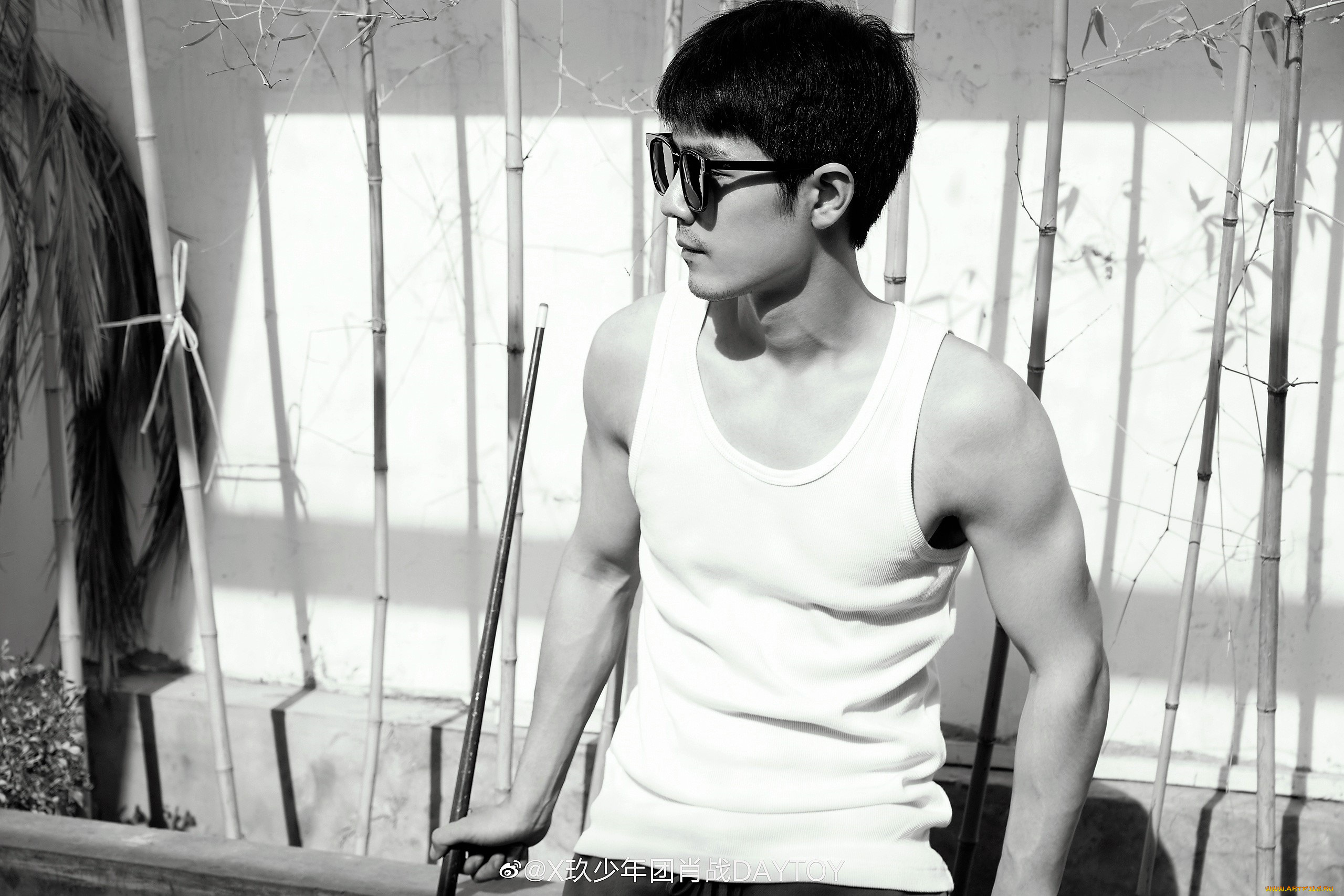 мужчины, xiao, zhan, очки, майка, кий