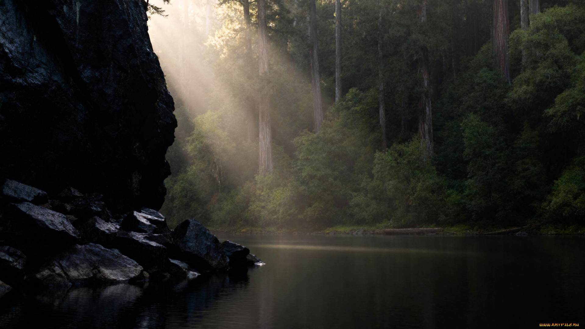 3д, графика, природа, , nature, скала, лучи, лес, озеро