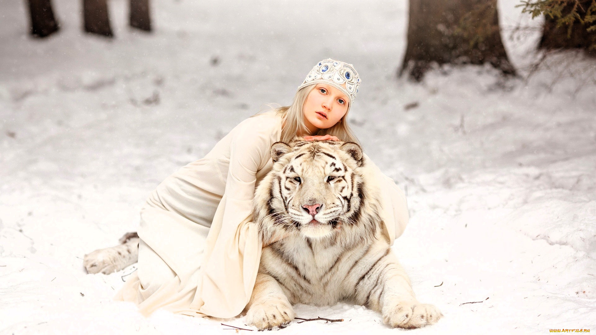девушки, -, блондинки, , светловолосые, блондинка, шапочка, платье, тигр, зима, снег, лес