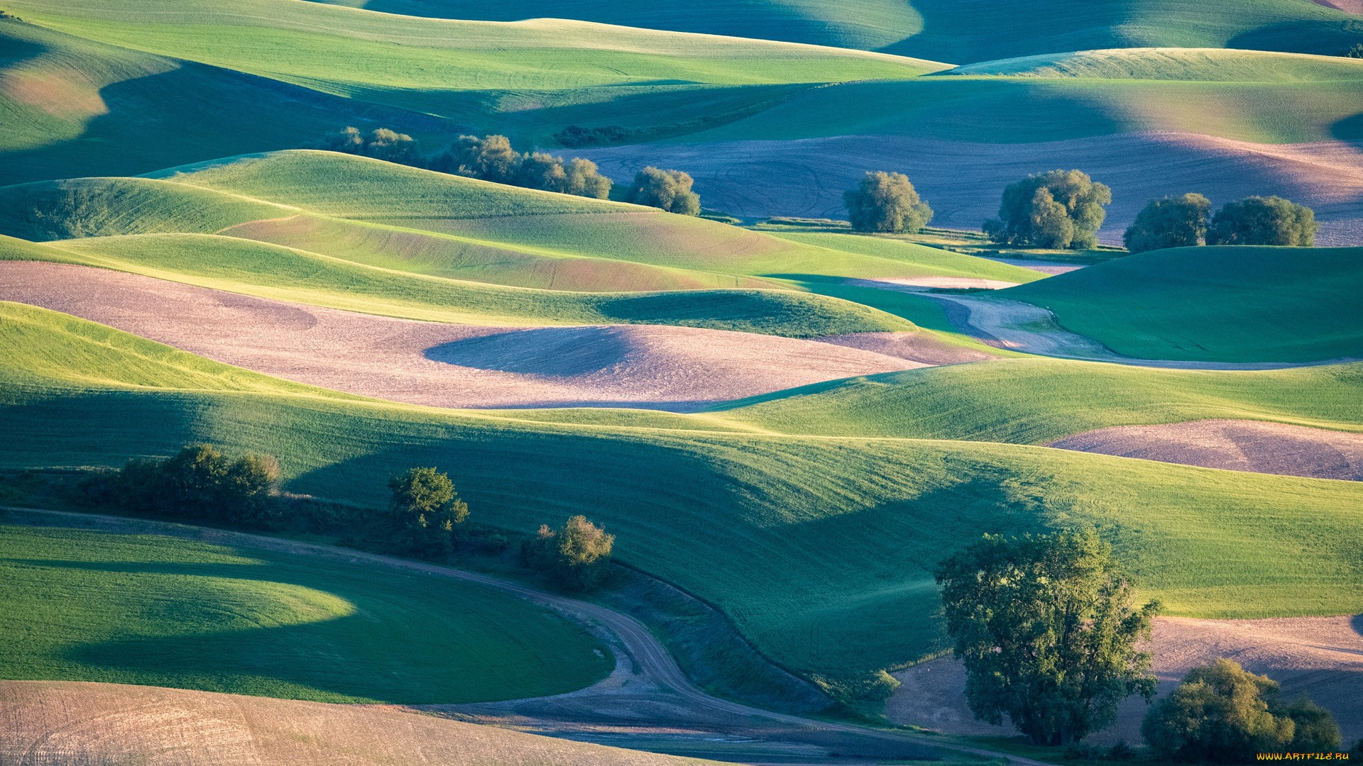 природа, пейзажи, пейзаж