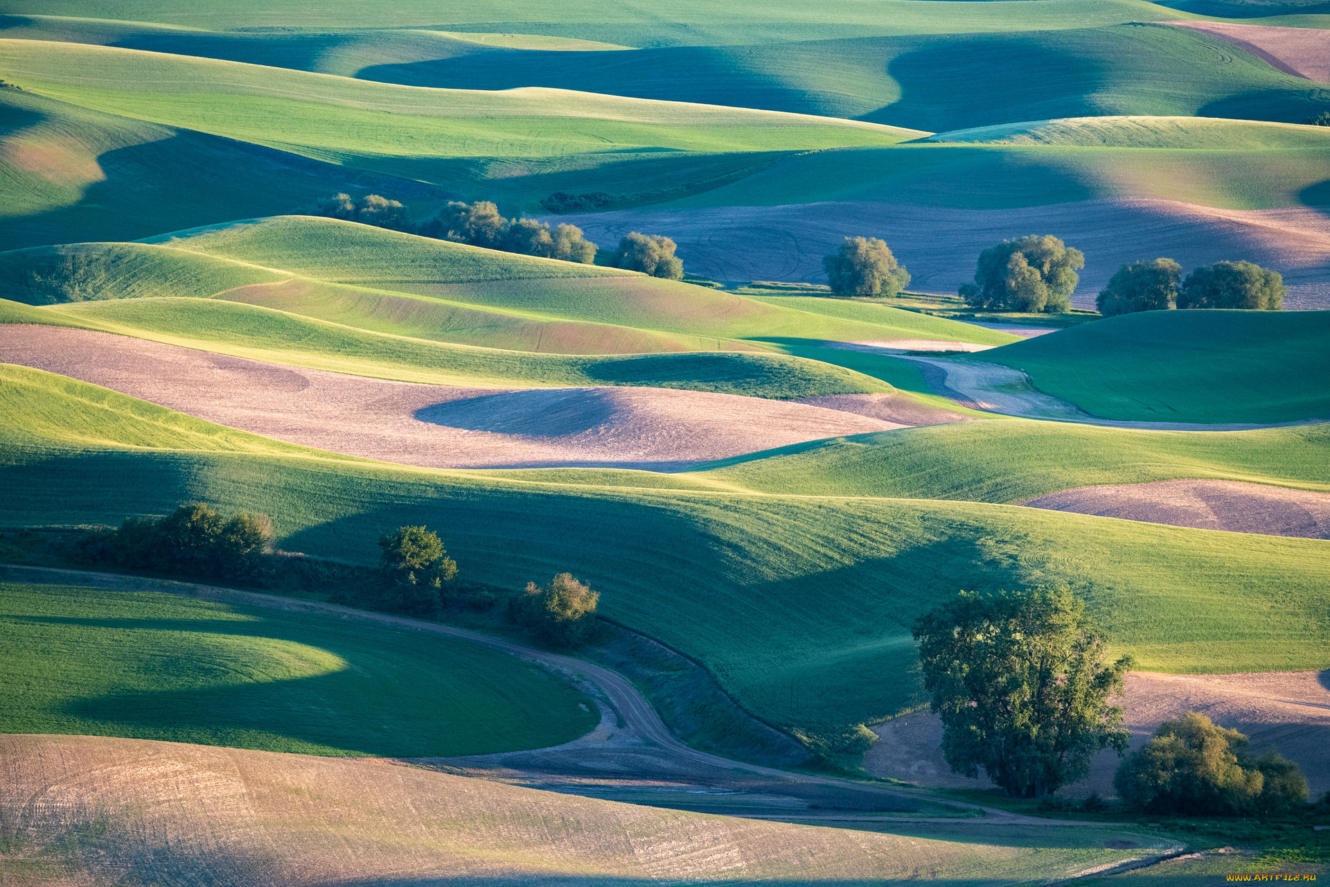 природа, пейзажи, пейзаж