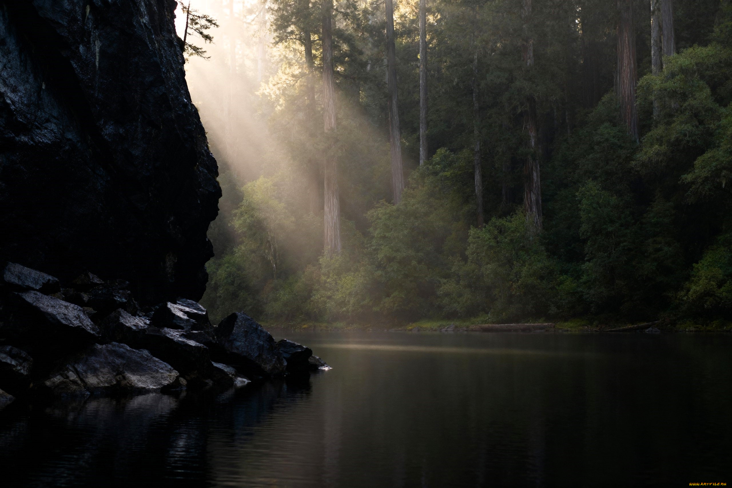 3д, графика, природа, , nature, скала, лучи, лес, озеро