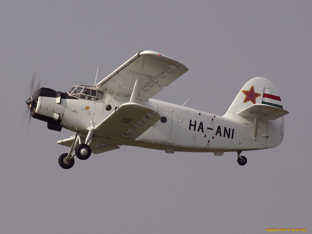 авиация, лёгкие, одномоторные, самолёты