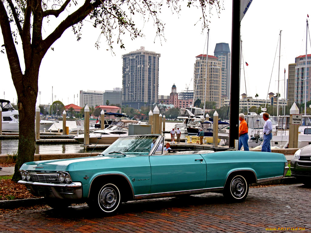 автомобили, выставки, уличные, фото