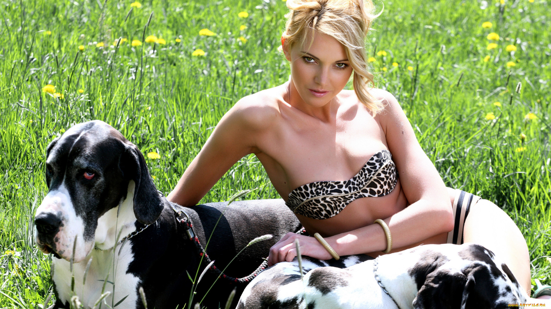 _Unsort, -НЕ, ВЫБИРАТЬ, , , девушки, , не, выбирать