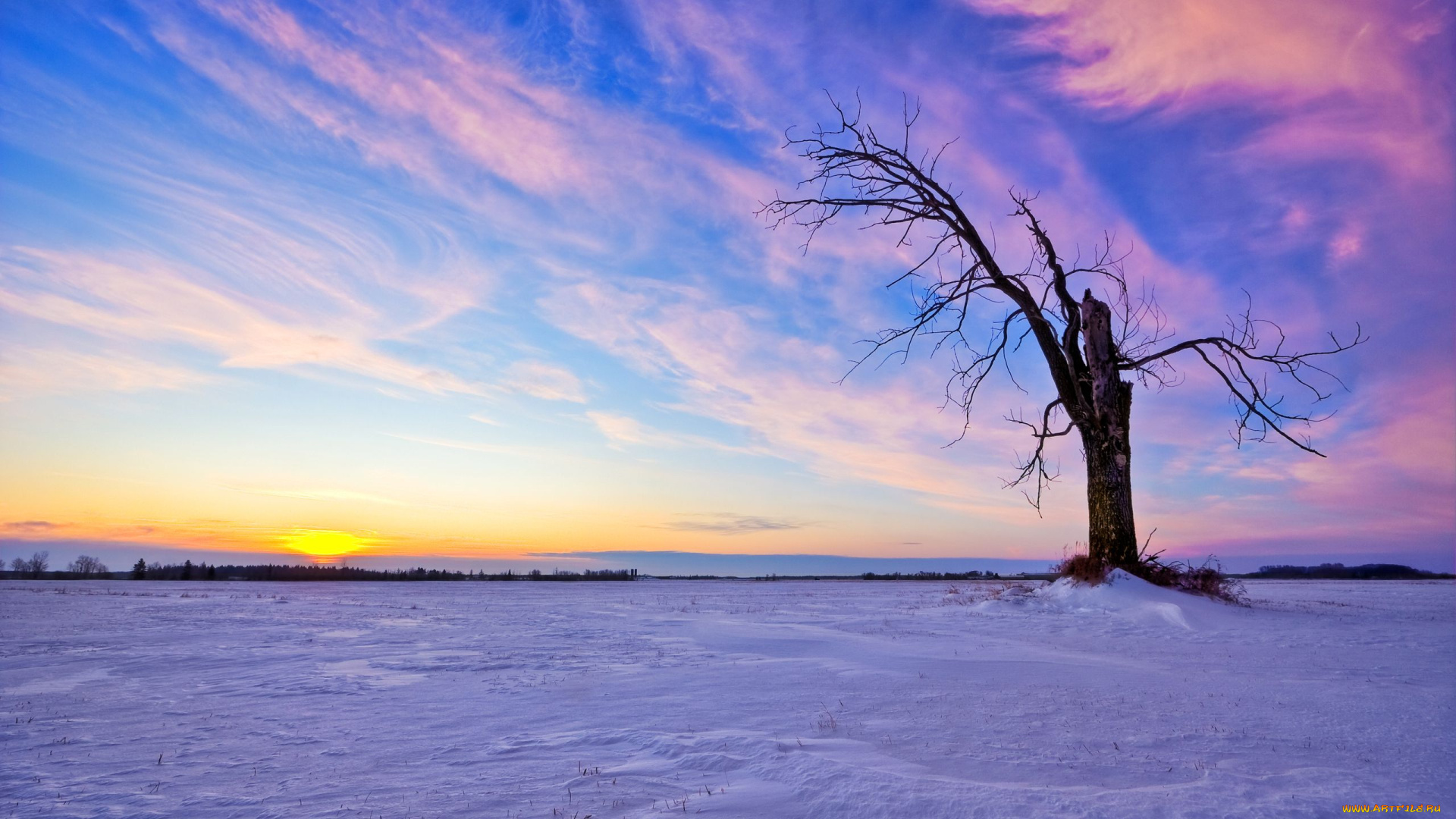 природа, деревья