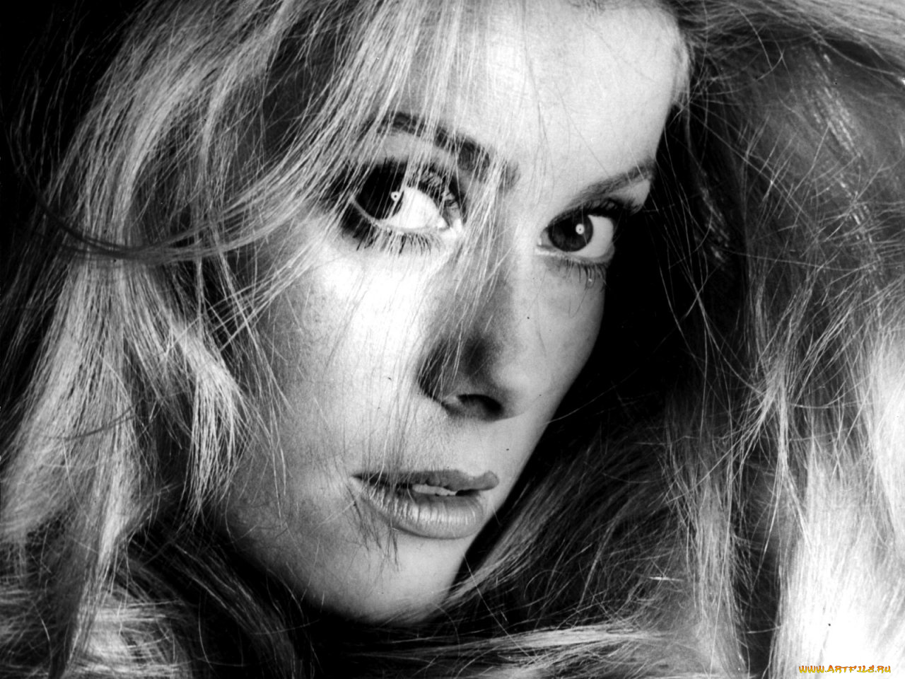 Catherine, Deneuve, девушки
